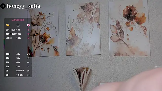 Snapshot of sweete_sofia chatting on 12, 3, 2025 sweete sofia online show from 12, 3, 2025