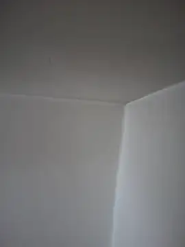Snapshot of SecretlyDD chatting on 23, 4, 2026 SecretlyDD online show from 23, 4, 2026