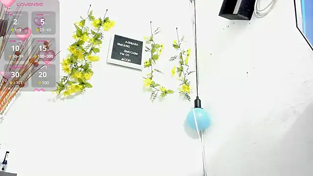 Snapshot of arabela_dream25 chatting on 3, 3, 2025 arabela dream25 online show from 3, 3, 2025