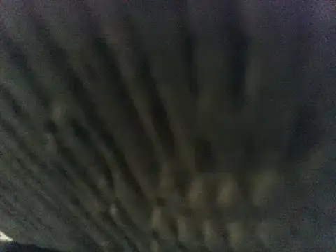 Snapshot of party51502 chatting on 8, 3, 2025 party51502 online show from 8, 3, 2025