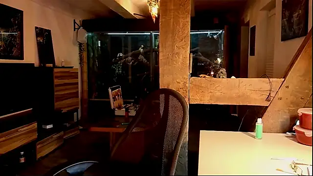 DYasmin69 online show from 1, 11, 2025