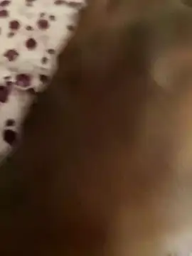 Snapshot of Rathi22 chatting on 23, 3, 2025 Rathi22 online show from 23, 3, 2025