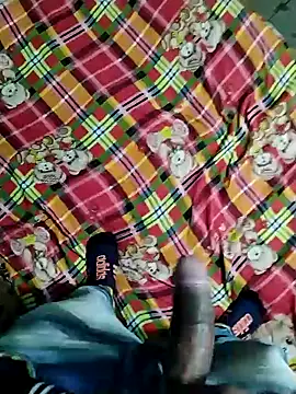 Snapshot of Kingxey chatting on 31, 12, 2024 Kingxey online show from 31, 12, 2024