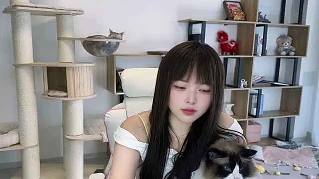 Chenjing0 online show from 5, 5, 2026