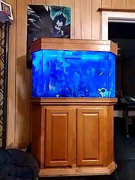 Rebeckalove online show from 16, 2, 2025