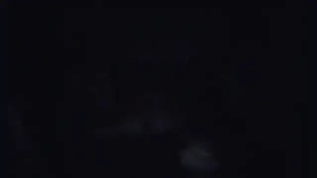 ParaFox online show from 14, 9, 2025