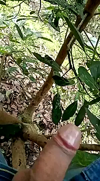 mmarvis za78 93 21cm online show from 5, 2, 2025