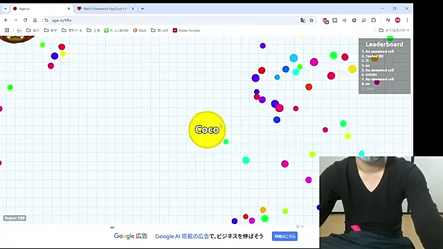Coco rainbow online show from 12, 1, 2025