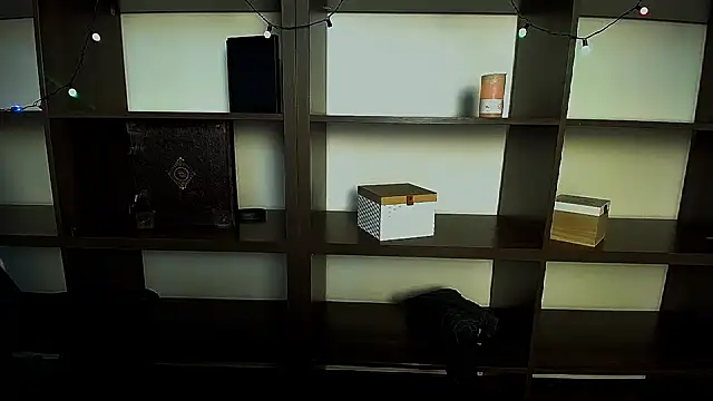 Snapshot of Lexi_Jous chatting on 11, 2, 2025 Lexi Jous online show from 11, 2, 2025