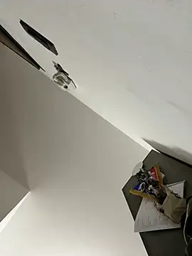 Snapshot of ilmaestoso chatting on 21, 2, 2025 ilmaestoso online show from 21, 2, 2025