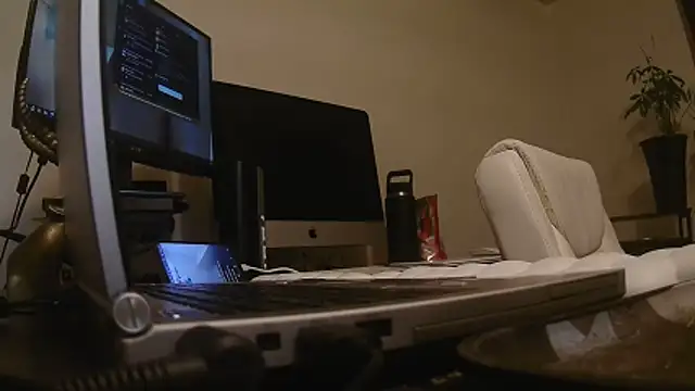 MrDaddyBbSnake online show from 24, 4, 2026