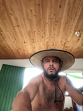 pegaso888888 online show from 17, 3, 2026