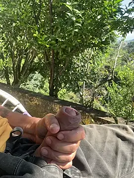 pegaso888888 online show from 19, 3, 2026