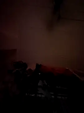 Snapshot of opkiller901 chatting on 12, 1, 2025 opkiller901 online show from 12, 1, 2025