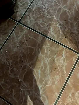 Lilymoonshow online show from 18, 9, 2025