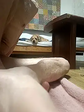 Bisexualhard23 online show from 18, 1, 2026