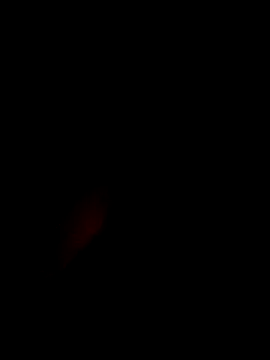 Snapshot of xxxxGuruxxxx chatting on 10, 3, 2025 xxxxGuruxxxx online show from 10, 3, 2025