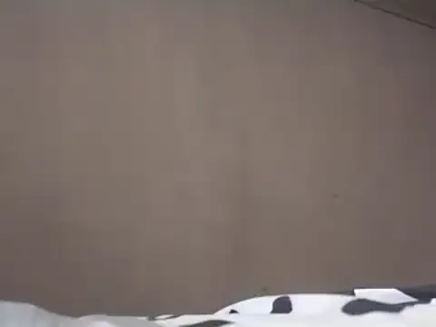 Chandy012 online show from 19, 3, 2025