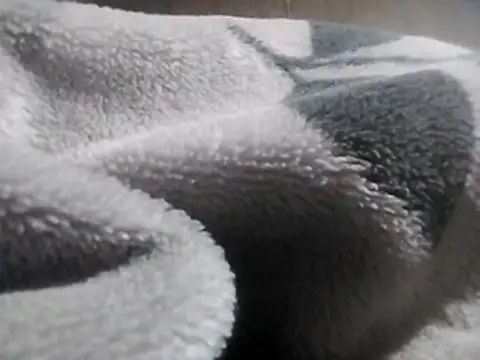 Snapshot of LaneYam chatting on 12, 3, 2026 LaneYam online show from 12, 3, 2026