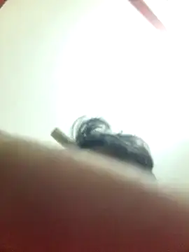 Snapshot of Marvelous_Piyush chatting on 6, 3, 2025 Marvelous Piyush online show from 6, 3, 2025