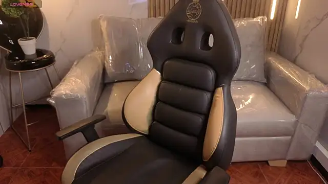 Kitten Cam online show from 20, 2, 2026