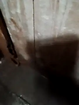 Snapshot of Raj41 chatting on 20, 9, 2025 Raj41 online show from 20, 9, 2025