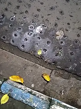 Snapshot of Raj41 chatting on 20, 9, 2025 Raj41 online show from 20, 9, 2025