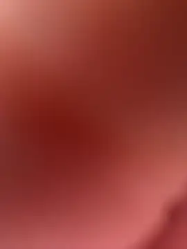 paullliliu online show from 26, 2, 2026