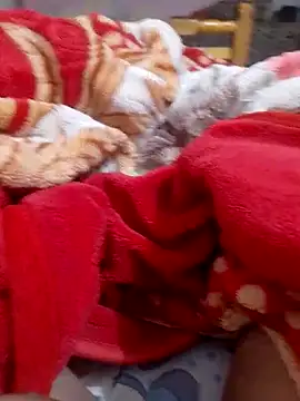 Snapshot of mhmia chatting on 6, 2, 2025 mhmia online show from 6, 2, 2025