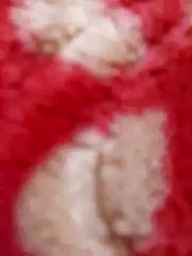 Snapshot of mhmia chatting on 8, 2, 2025 mhmia online show from 8, 2, 2025