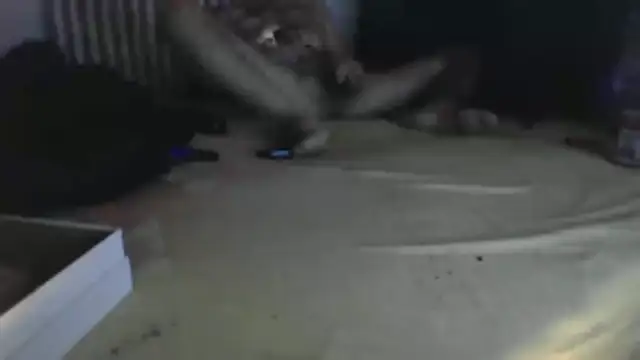 Damn bro23 online show from 31, 1, 2026