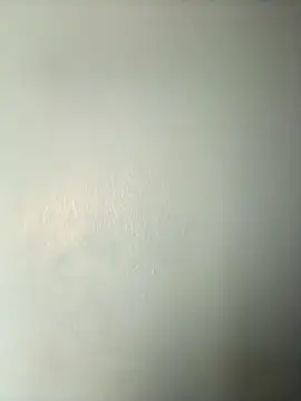 Snapshot of randit7 chatting on 9, 3, 2025 randit7 online show from 9, 3, 2025