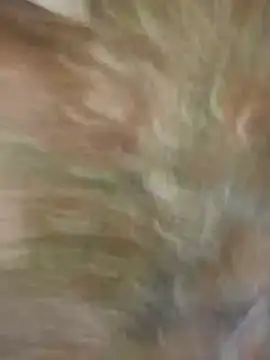 Snapshot of Santiago-Thompson chatting on 26, 1, 2025 Santiago-Thompson online show from 26, 1, 2025