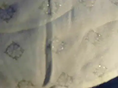 Snapshot of Cutie_Pie1p chatting on 19, 3, 2025 Cutie Pie1p online show from 19, 3, 2025