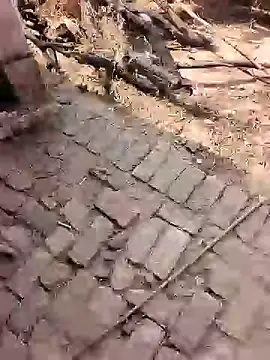 xmanrawan2 online show from 17, 2, 2026