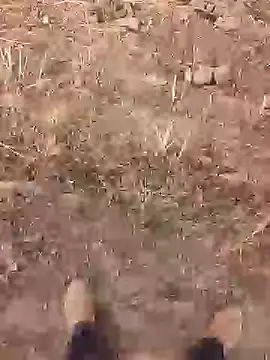 xmanrawan2 online show from 20, 3, 2026