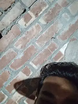 birds0641 online show from 29, 9, 2025