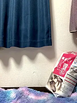 PINO pino 01 online show from 24, 11, 2025