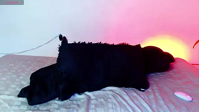 Snapshot of 7_Saturno_7 chatting on 14, 7, 2026 7 Saturno 7 online show from 14, 7, 2026