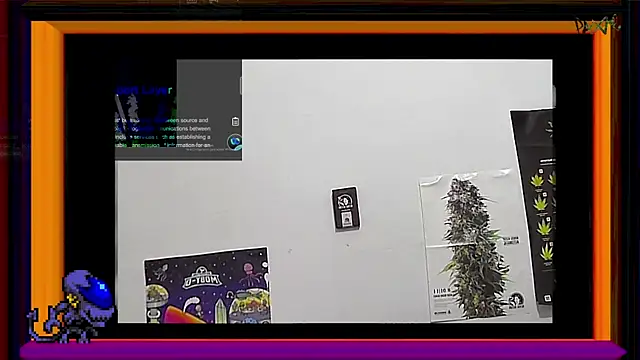 Snapshot of ReyDeBotones chatting on 14, 3, 2025 ReyDeBotones online show from 14, 3, 2025