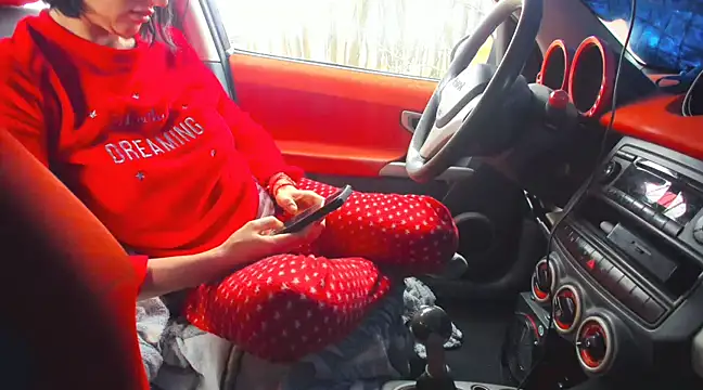 Fairy outdoor online show from 2, 3, 2025