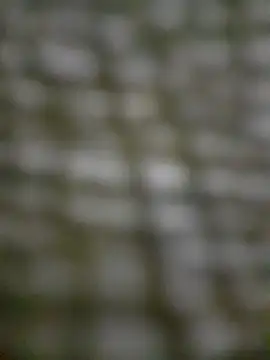 Snapshot of Mineirinho043 chatting on 17, 2, 2025 Mineirinho043 online show from 17, 2, 2025