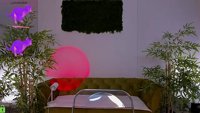 miiss  lulu online show from 16, 7, 2026