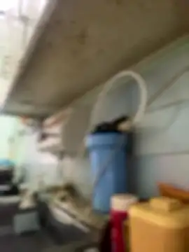 Carola-Ross online show from 6, 1, 2026