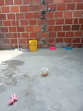 Snapshot of PECHO100 chatting on 6, 3, 2025 PECHO100 online show from 6, 3, 2025