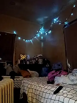 birdg online show from 22, 10, 2025