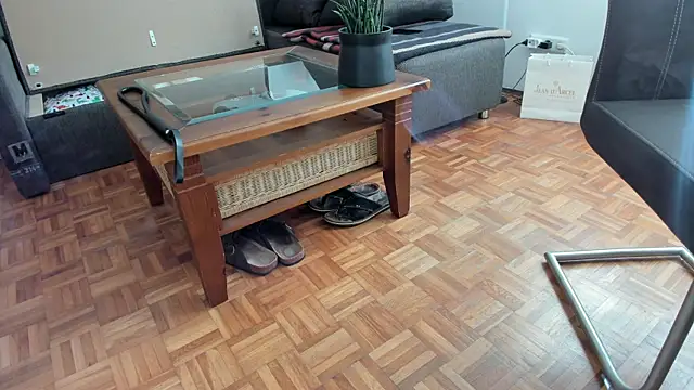 molicaremolicare online show from 5, 11, 2025