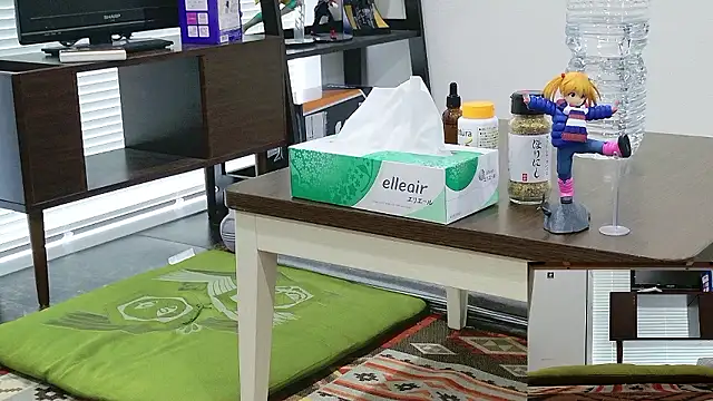 Snapshot of YARASERO-kun chatting on 17, 2, 2026 YARASERO-kun online show from 17, 2, 2026