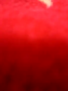 Snapshot of alansex_19 chatting on 3, 8, 2026 alansex 19 online show from 3, 8, 2026