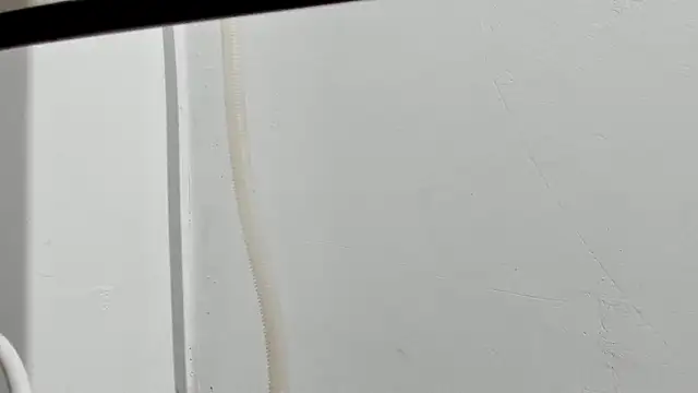 Aleshkastone online show from 11, 1, 2026